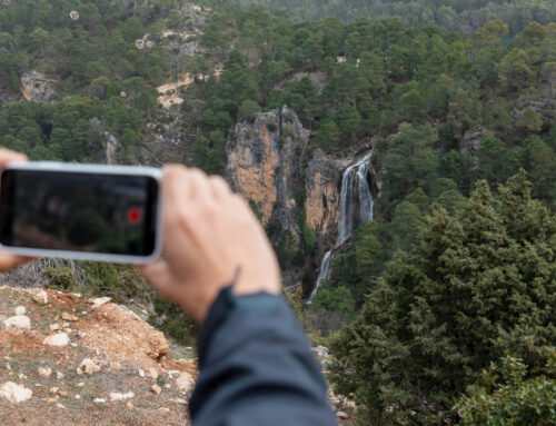 Les meilleurs endroits pour filmer des documentaires animaliers dans les Pyrénées