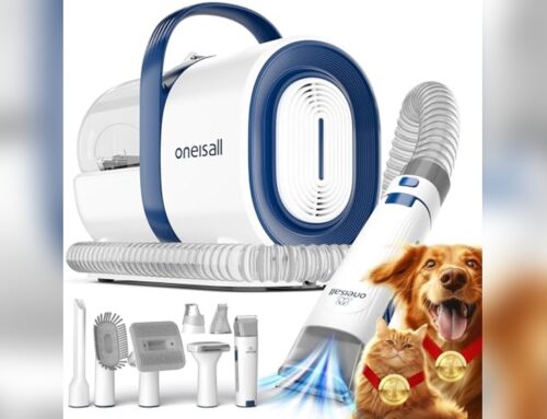 Test du kit de toilettage oneisall : complet et efficace