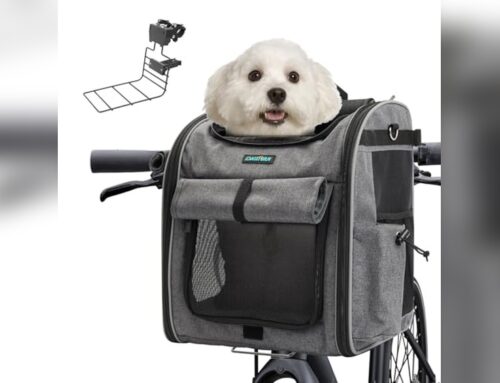DAISTERN Panier Vélo Pliable pour Chiens : Avis Complet 2024